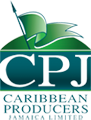 CRU Bar & Kitchen Jobs in Jamaica