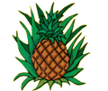 Pineapple Court Hotel Jobs in Jamaica